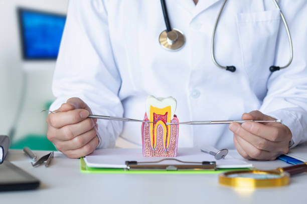 Best Emergency Broken Tooth Repair in Louisa, VA